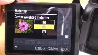 Nikon D5100 beginner basic guide part 1 Info screen settings tutorial [upl. by Aicemat]