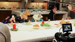 Freshpet Holiday Feast  Behind the Scenes [upl. by Brigida]