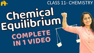 Equilibrium Chemistry Class 11  Chapter 7 Chemical Equilibrium One Shot  CBSE NEET JEE [upl. by Atiuqihc24]