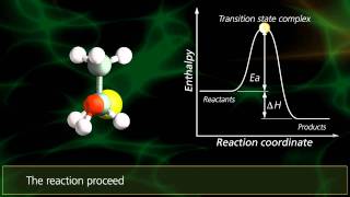 SN2 Reactions  University Of Surrey [upl. by Ehav110]