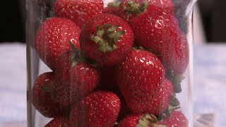 How to extract DNA from strawberries [upl. by Nerrot]