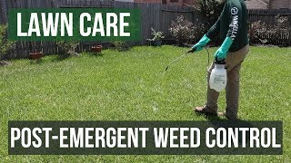 PostEmergent Weed Control A Lawn Care Guide [upl. by Eneloc]