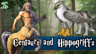 The History Of Centaurs And Hippogriffs Explained [upl. by Yorgen528]