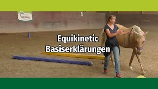 Equikinetic Muskelaufbautraining Basiserklärungen mit Andrea EschbachKindler [upl. by Cullin]