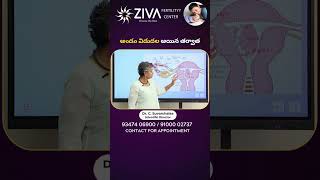 అండం విడుదల అయిన తర్వాత  Embryo Implantation In Telugu  Dr C Suvarchala  Ziva Fertility [upl. by Kcirred]