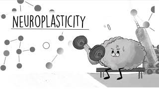 QuIHN Neuroplasticity Animation [upl. by Navonoj627]