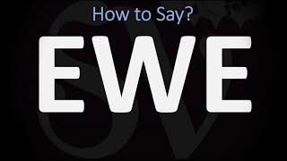 How to Pronounce Ewe CORRECTLY [upl. by Kornher]