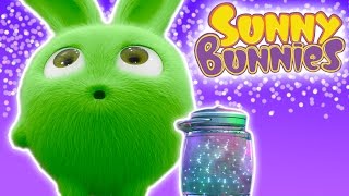 Cartoons ★ Sunny Bunnies  FIREFLIES  1 Hour Special ★ Cartoons for Babies [upl. by Yraeg]