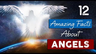 INCREDIBLE TRUTH about ANGELS  12 Facts you need to know [upl. by Grimes]