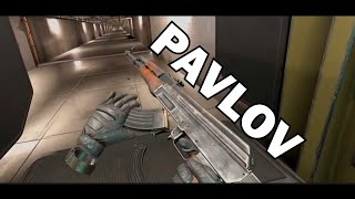 Pavlov VR  All Weapon Reload in 3 Minutes [upl. by Tserrof438]