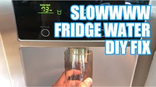 Slow refrigerator water dispenser DIY FIX [upl. by Bordiuk]