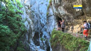 Alpbachtal Seenland Wandern [upl. by Azelea]