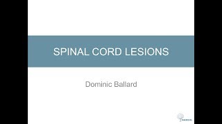 Spinal Cord Lesions [upl. by Ahsenod]