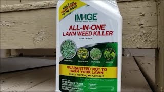 Finally A Goosegrass Killer [upl. by Leahcimdivad]