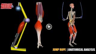 Jump Rope  Anatomical Analysis  Active Muscles [upl. by Amelina]