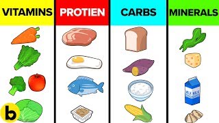 Plant Nutrition 101 All Plant Nutrients and Deficiencies Explained [upl. by Niloc]