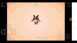 Pokemon advanced version Hoothoot evolution level [upl. by Lienet258]