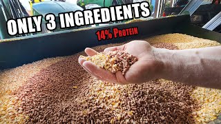 EASY PIG FEED MIX  Only 3 Ingredients 14 Protein [upl. by Ahsit]