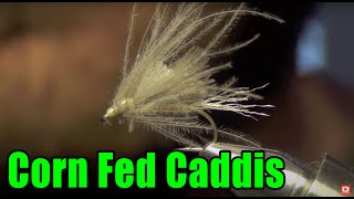 Corn Fed Caddis Fly Tying Directions [upl. by Niuqauj]