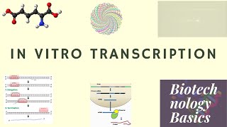 RNA synthesis by In vitro transcription [upl. by Ahsrav]