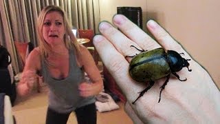 HUGE HISSING BEETLE PRANK [upl. by Nailimixam]