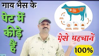 कहीं आप की भैंस गाय के पेट में कीड़े तो नहीं Signs of Worms in Cattle by Ramawat [upl. by Huang]