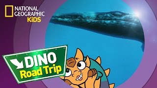 Tylosaurus  Dino Road Trip [upl. by Barret423]