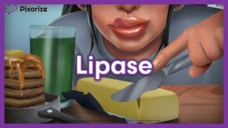 Lipase Mnemonic for MCAT [upl. by Obelia]