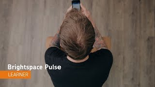 Brightspace Pulse  Navigation  Learner [upl. by Nayra]