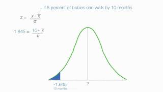 How to calculate Normalized z score [upl. by Tyree924]