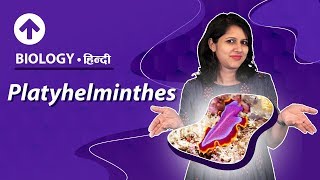 Platyhelminthes  Hindi  Diversity In Living Organisms  Biology Class 9 [upl. by Trenton]