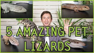 Five of the Best Pet Lizards You Could Possibly Get [upl. by Annaigroeg]