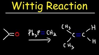 Wittig Reaction Mechanism [upl. by Nygem439]