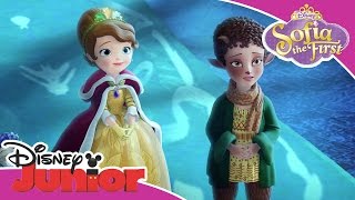 Sofia the First  Winter the Faun  Official Disney Junior Africa [upl. by Aneehsyt]