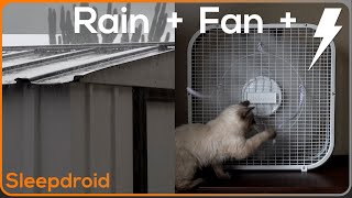 ►Fan Noise  Fan and Rain Sounds for Sleeping  Hard Rain on a Tin Roof  Metal Roof and Box Fan [upl. by Adiaroz839]