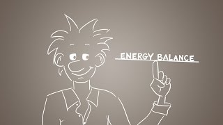 Energy balance explained  get the balance right [upl. by Esila]