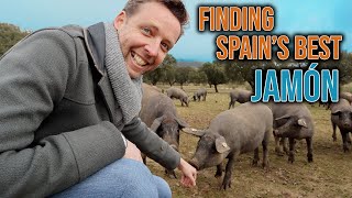 Where Does Spains Best Jamón Come From [upl. by Oinotla782]