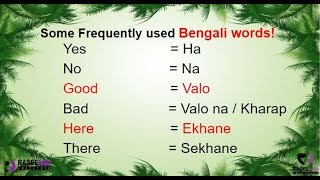 Learn Some Frequently Used Bengali Words in English Part 1 [upl. by Nhar]