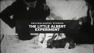 The Little Albert Experiment [upl. by Irap5]