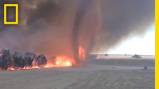 WATCH Fire Tornado Captured in Rare Video  National Geographic [upl. by Debarath]