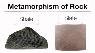 Metamorphic RocksHommocks Earth Science Department [upl. by Fabriane]