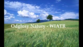 Odgłosy Natury  WIATR [upl. by Hanzelin]