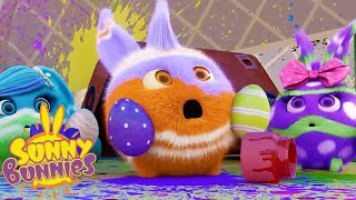 SUNNY BUNNIES  Sunny Easter Bunny  Season 3  Cartoons for Children [upl. by Corder]