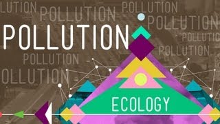 Pollution Crash Course Ecology 11 [upl. by Olympe]