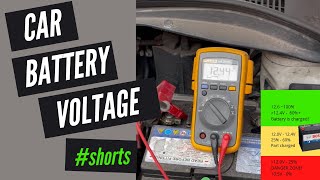 What Voltage Should Car Battery Be [upl. by Olivie622]