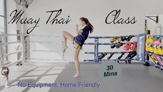 Muay Thai at Home  Full Class Beginner Friendly No equipment  30 Mins with Spring Sia [upl. by Carleton]