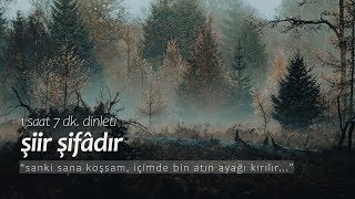 şiir şifâdır  en sevilenler 1 saat dinleti [upl. by Etnovaj]