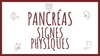 Sémiologie Pancréas  Signes Physiques [upl. by Ahsiened]