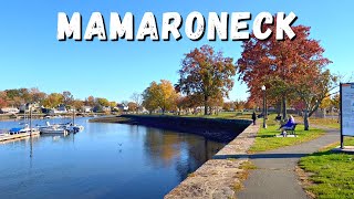 Walking Mamaroneck NY in November 2022 [upl. by Lerner]