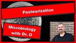 Pasteurization Microbiology [upl. by Rosalynd171]